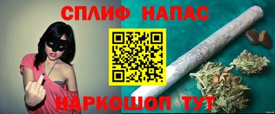 эйфоретик Малгобек