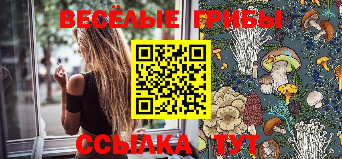 Галлюциногенные грибы Magic Shrooms Иваново
