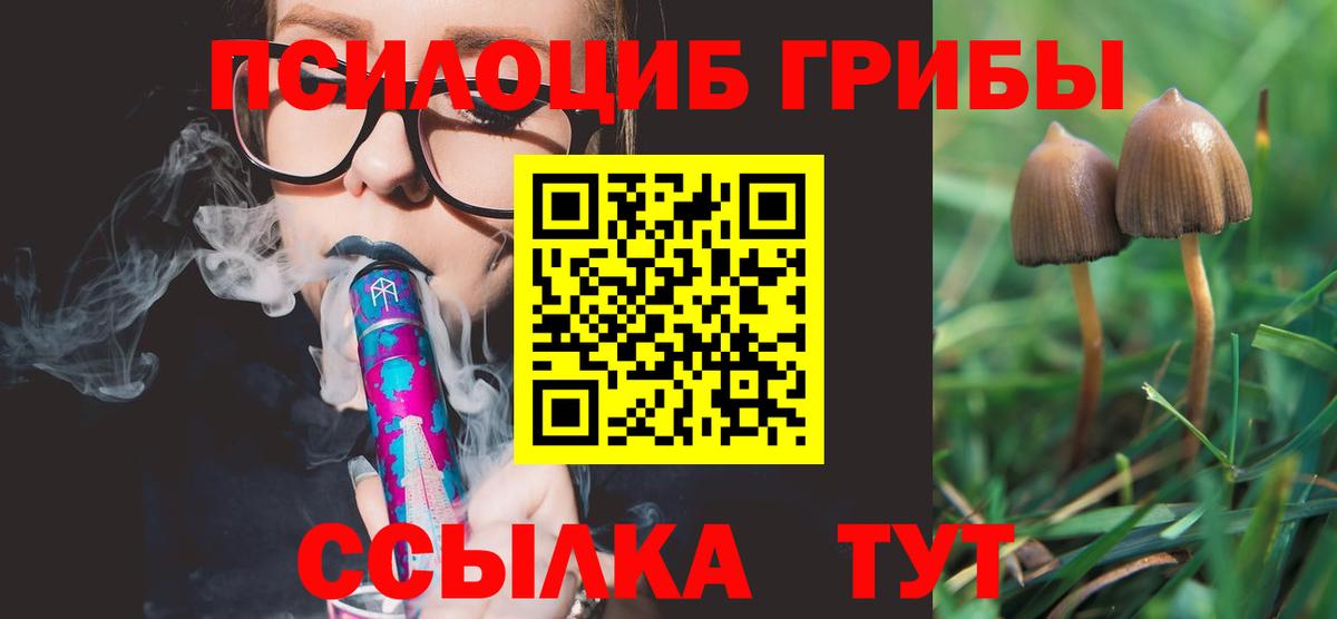 Иваново  Псилоцибиновые грибы GOLDEN TEACHER  Вход с VPN  Псилоцибиновые грибы мицелий 